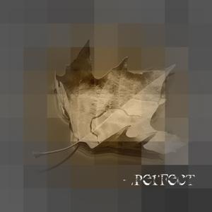 Perfect (feat. SilentSyndicate & Rah Issa)