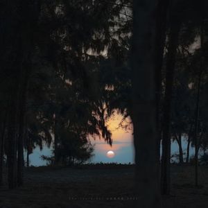 永不失联的爱
