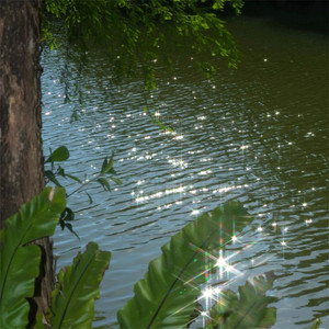 我的出身是卖水果的 (DJ版)