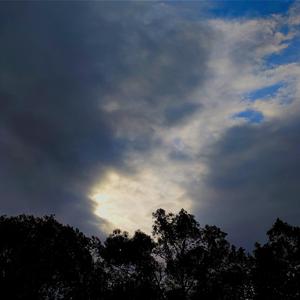 想着你( cover 林心如)