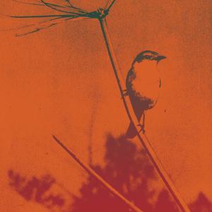 Wherever You Are Is Home