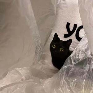 [FREE] Lil Tjay Type Beat “会走的更远”