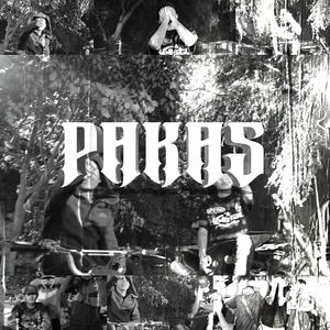 PAKAS (feat. zsasztrrr)