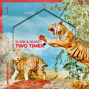 Two Timer