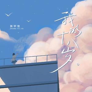 我的十八岁 (DJ豪大大版)