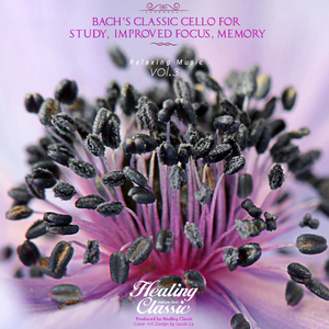 Bach- Suite For Solo Cello No.3 In C Major BWV 1009 - I. Prelude