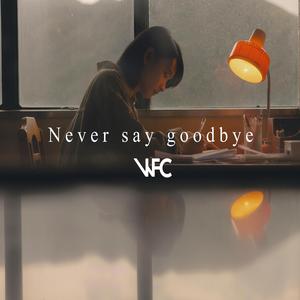 Never Say Goodbye