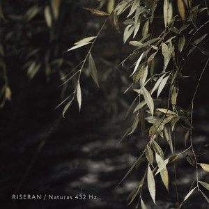 Naturas 432 Hz