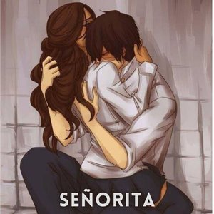 Señorita (Slowed + Reverb)