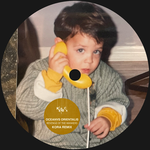 Revenge Of The Wankers (Kora Remix)