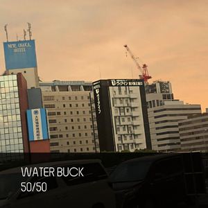 フィフティ・フィフティ