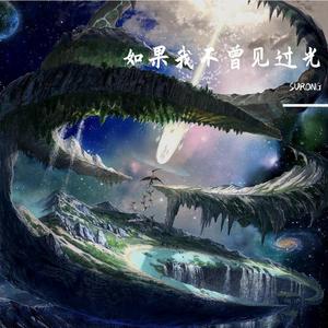 如果我不曾见过光