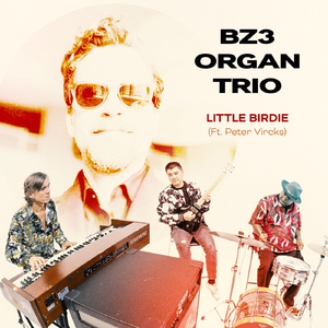 Little Birdie (feat. Peter Vircks)