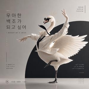 우아한 백조