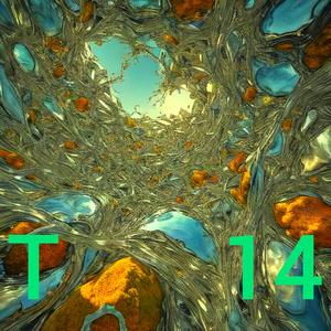 T14