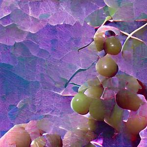 Grape