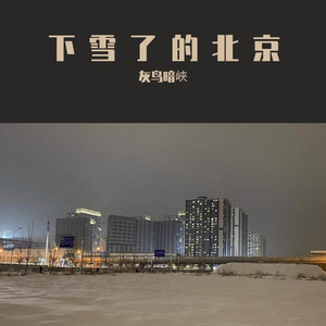 下雪了的北京