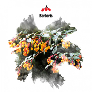 Waves (Original Mix)