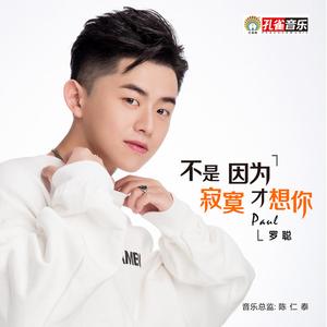 不是因为寂寞才想你 (伴奏)