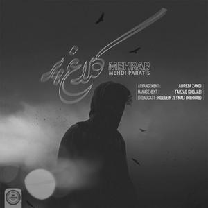 Kalagh Par (feat. Mehdi Paratis)