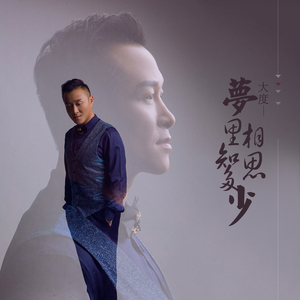 梦里相思知多少