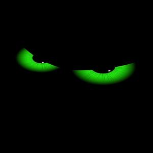 MTG (OBSESSED) (feat. Dj Pacheco)