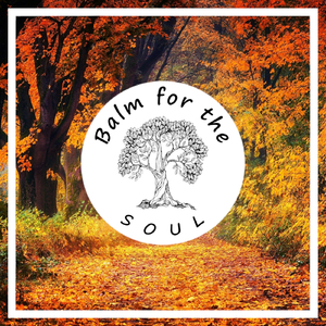 Walk Through a Forest in Autumn, Pt. 12