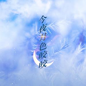 周而付始 | 今夜月色皎皎
