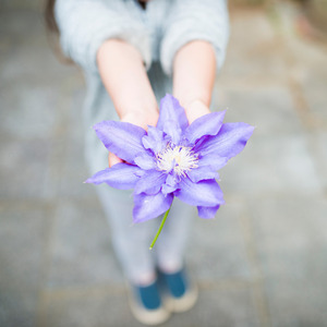 O Que É Essencial - Hino da Gratidão