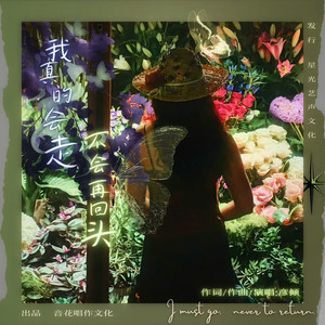 我真的要走不会再回头（DJROLL版） (伴奏)