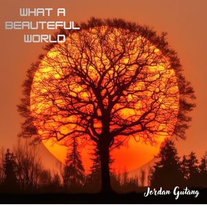 What a Beautiful World