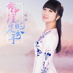 命中注定的分手 (DJ何鹏)