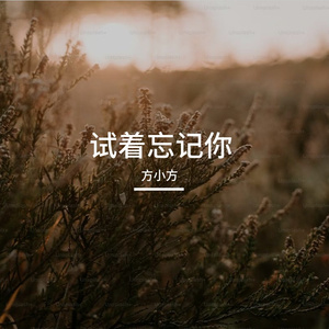 试着忘记你