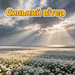 Сильний вітер