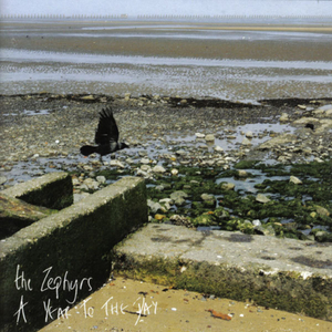 One Year Many Mistakes