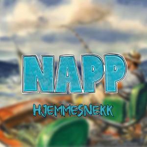 Napp 2023 (hjemmesnekk)