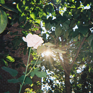 사랑은 영원하다