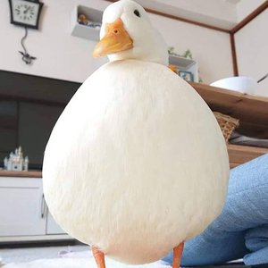 那么骄傲