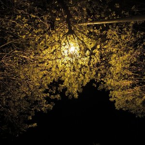 苦楚方知道如今