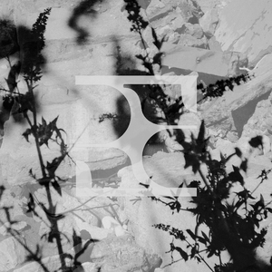 GREAT TUMBLER STEVEN