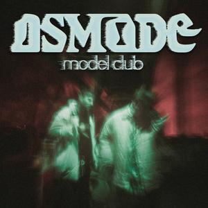 Las Rosas No Tiene Espinas