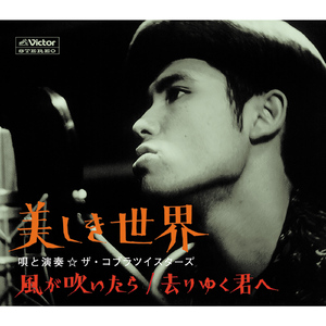 美しき世界（シングルバージョン）