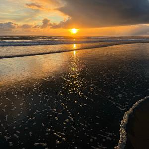 暖一杯茶DJ（翻自 A9）