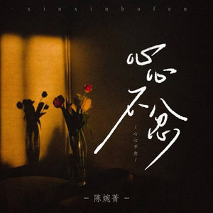 心心不忿 (DJ细霖版)