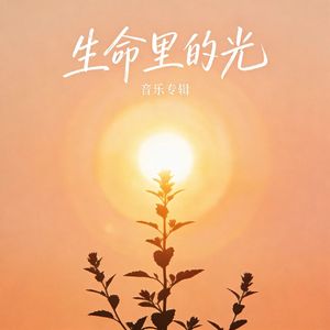 生命里的光