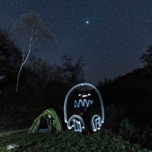 若能绽放光芒（Cover Goose House）