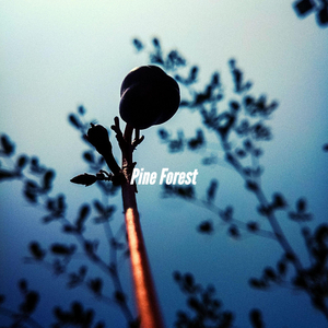 Background for Iced Double Americano