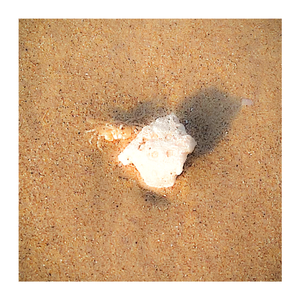 夏天时，遇见最好的自己(prod.Veezy)