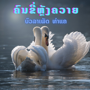 ຄົນຂີ່ຫຼັງຄວາຍ