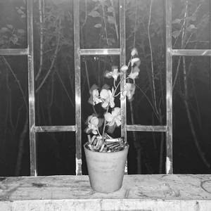 世上的光（The Light of the world）